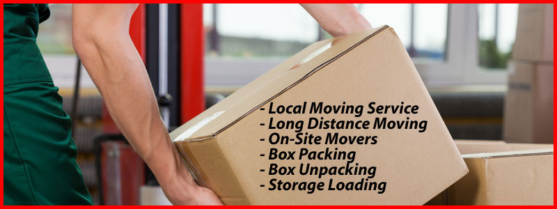 Packers And Movers Noida Sector 115